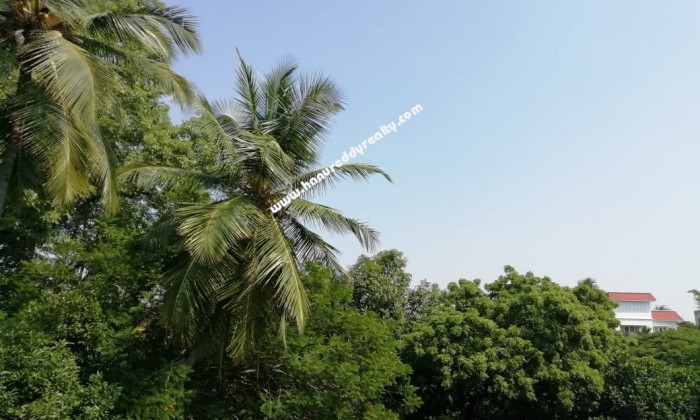 1 BHK Flat for Sale in Alwarpet